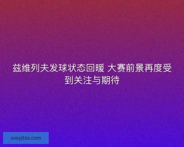 兹维列夫发球状态回暖 大赛前景再度受到关注与期待