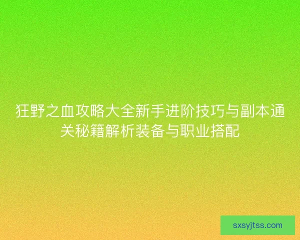 狂野之血攻略大全新手进阶技巧与副本通关秘籍解析装备与职业搭配 狂野之血攻略大全新手进阶技巧与副本通关秘籍解析装备与职业搭配