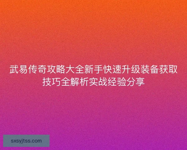 武易传奇攻略大全新手快速升级装备获取技巧全解析实战经验分享